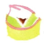 mosshahaの画像