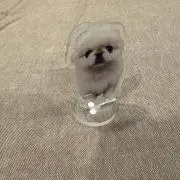 NOWの画像