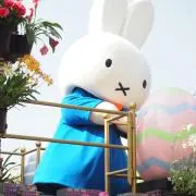 emaの画像