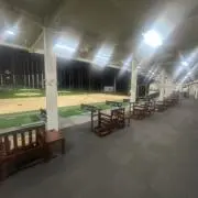 クリームシチューの画像