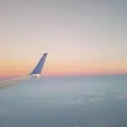 うみのかくれんぼの画像