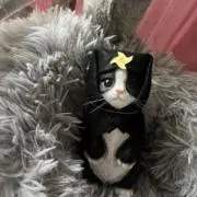 チョコ