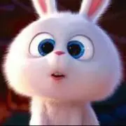 わの画像