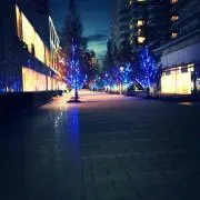 ゆーとの画像