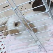 もか