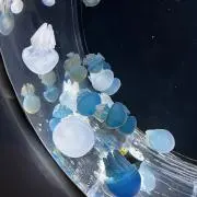 ʕ•̀ω•́ʔ