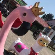 merooの画像