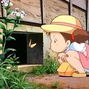 Sumayの画像