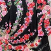 舞扇和心の画像
