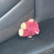 あの画像