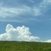 ききまま(プロフ必読)の画像