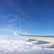 まーちゃんの画像