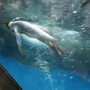 sunnyの画像