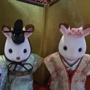 ぶーちゃん