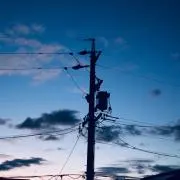 にくねの画像