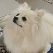 sana*の画像