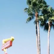 水玉