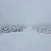いなりの画像