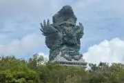 もりの画像