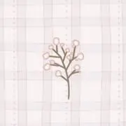 N___の画像