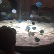 ひでかーゆ❤︎
