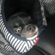 チ〜ママ