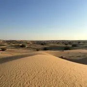 RRLの画像