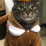 Teresa