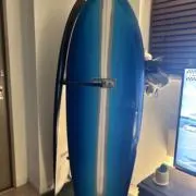 けんの画像