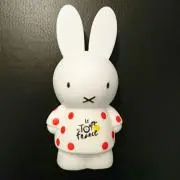 サヤルトの画像