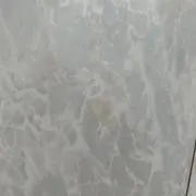 ペンギンの画像