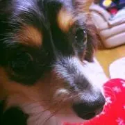 Tomokoの画像