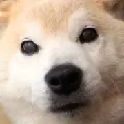 ぽこペン