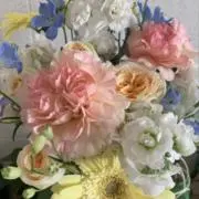 やすの画像