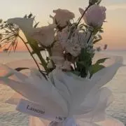 あみゅの画像
