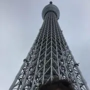 MUの画像