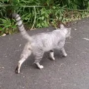 卓球大好き