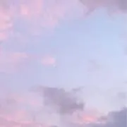 Rの画像