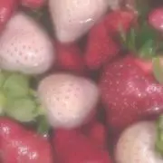 いちご