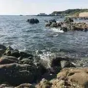 心の物語の画像