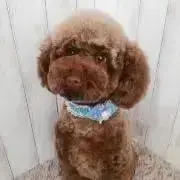 まめ※プロフ必読※の画像
