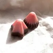 ぶうの画像