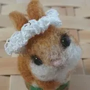よごろうざの画像