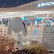♡あらレちゃん♡プロフィール必読‼️