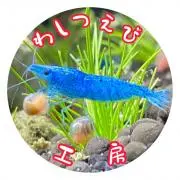 わしつえび工房oyayubiplantsの画像