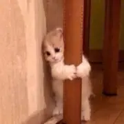 はるか