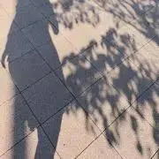 AAの画像