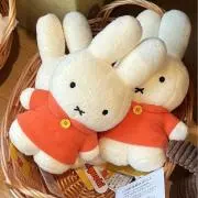 kkの画像