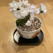 もも⭐︎古着格安セールの画像