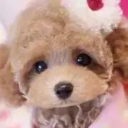 runa0510の画像
